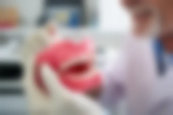 优惠价仅需3800元起，南宁鑫贝康口腔门诊部助您轻松实现5000元起的牙齿矫正，拥有自信笑容！