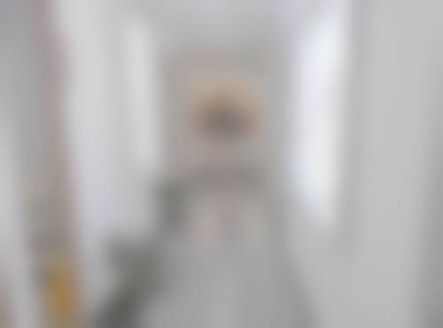 吴雪姣医生做手术价格