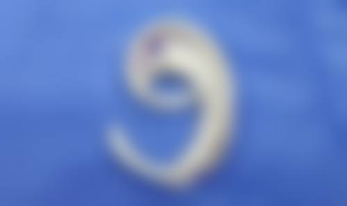 红河悦她婕熹卡医疗美容诊所评价如何