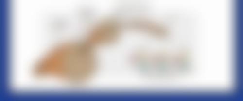 上海岳辰齿科长泰广场店医生简介