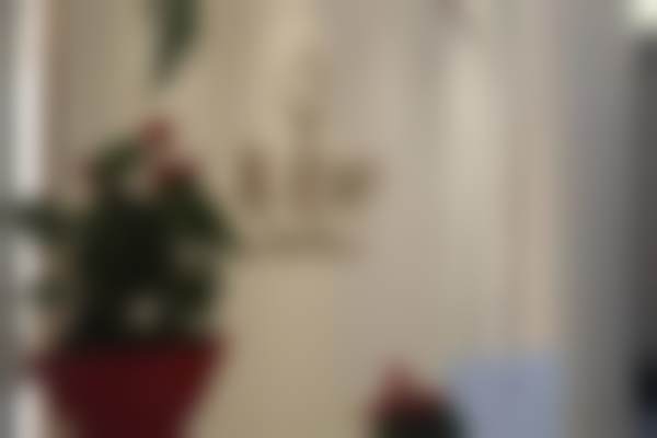 长沙县美颜树轻医美的上班时间与地址