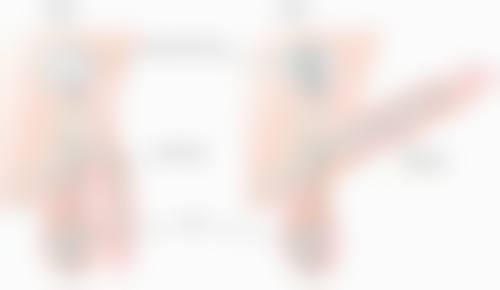 尾段：美丽需要时间，更需要智慧