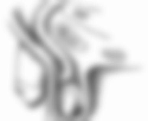 节食减肥对割双眼皮术后修复影响大吗