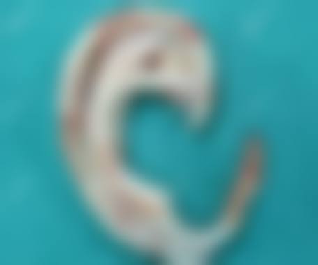 怀化丽莎医疗美容门诊部顾客实例有哪些