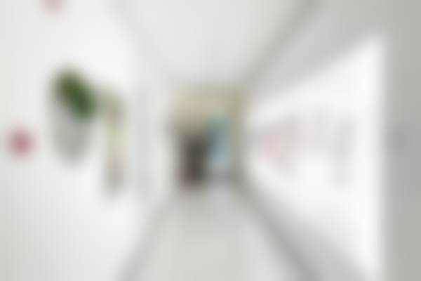 朝阳区孙泽芳手术价格——北京京韩整形医院