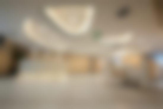 朴一飞医生简介之项目优势：专注眼部整形，技术前列