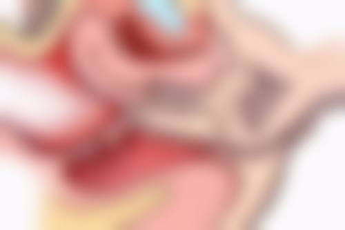 阴唇缩小是什么原因?外阴白斑引发的疾病症状