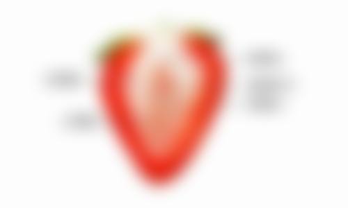 烫伤增生疤痕疙瘩会自己消失吗？儿童轻微烫伤疤痕淡化概率与恢复时间解析