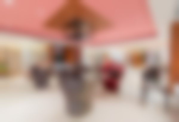 上海艺星医疗美容医院（长宁院）彭才学会不会亲自做手术？暂无信息，问官方