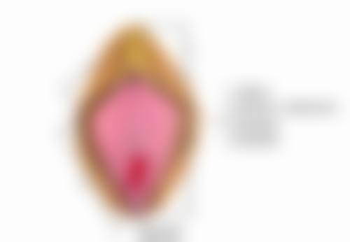 黑眼圈眼袋如何改善之食疗调养：吃出明亮双眸