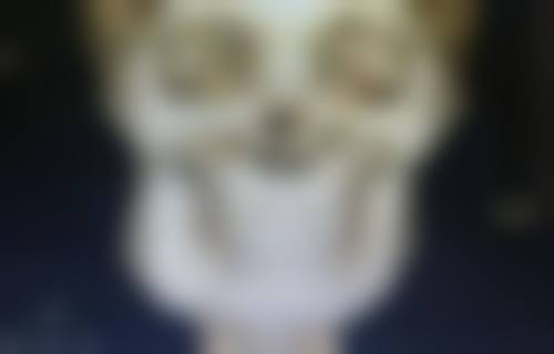 什么时候隆胸比较好——术前准备：选对医生比选对时间更重要