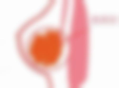 三、长沙普拉朵医疗美容门诊部地址在哪里