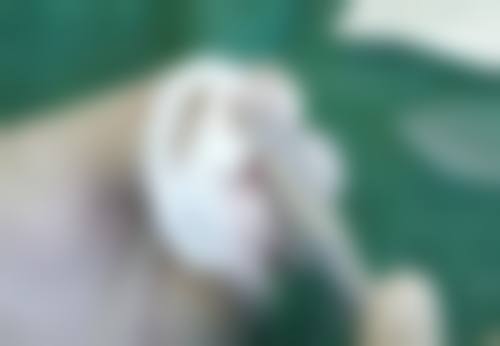 广州禾丽医疗美容门诊部怎么样，更擅长什么