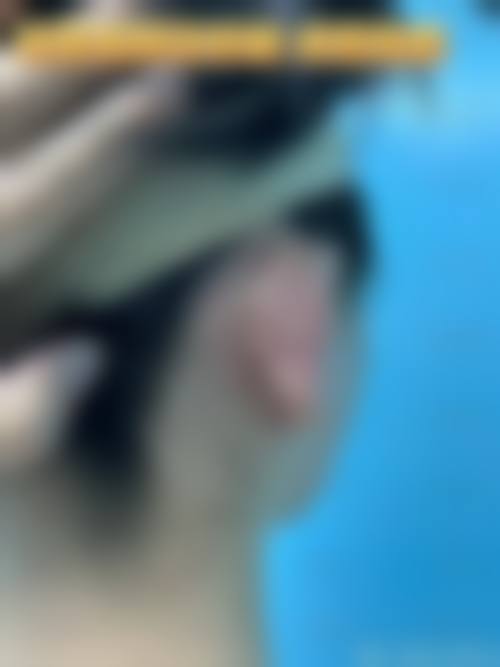 沧州美神唤美整形医院价格表:收费合理透明