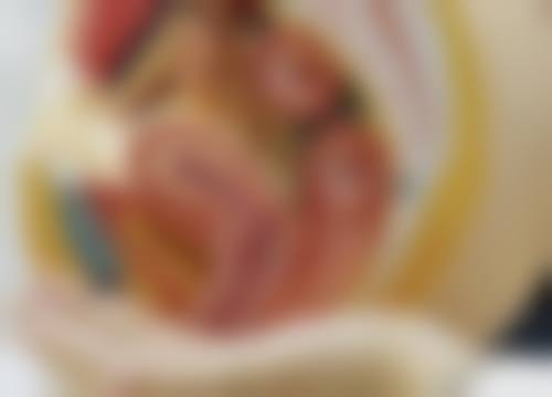 棒棒怎么样的口碑好不好