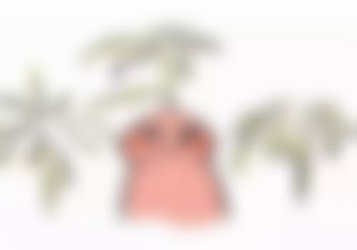 血压高能做眼袋手术吗之手术风险大揭秘