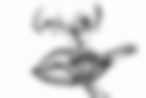 爱贝芙隆鼻优缺点之劣势分析