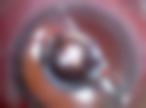 写在末尾:理性追求美丽