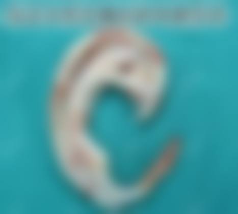 孙庆年医生简介口碑评价情况