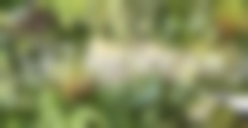 魏雅莉医生顾客实例图片