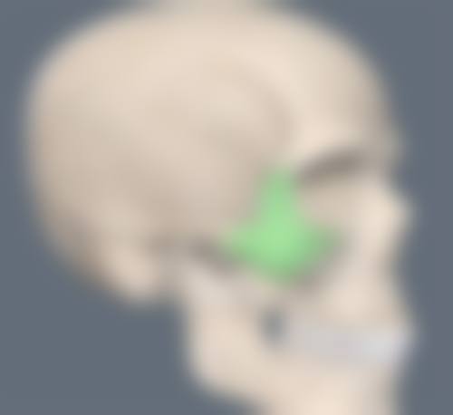 吸脂一个半月维度缩小的关键因素