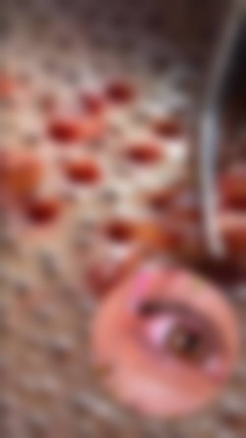 陆金龙医生简介之挂号方式