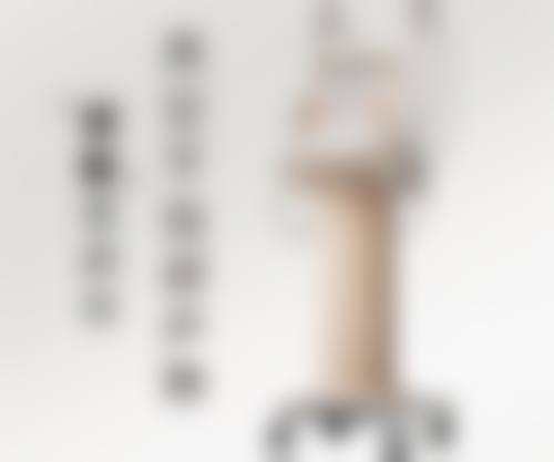 清远的教育资源