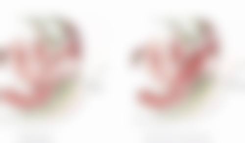 朱远平医生顾客实例图片