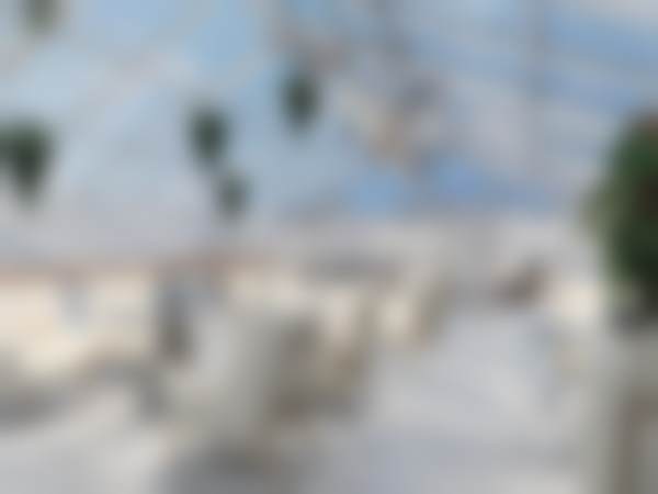 宁波海曙熙美医疗美容门诊部项目特色