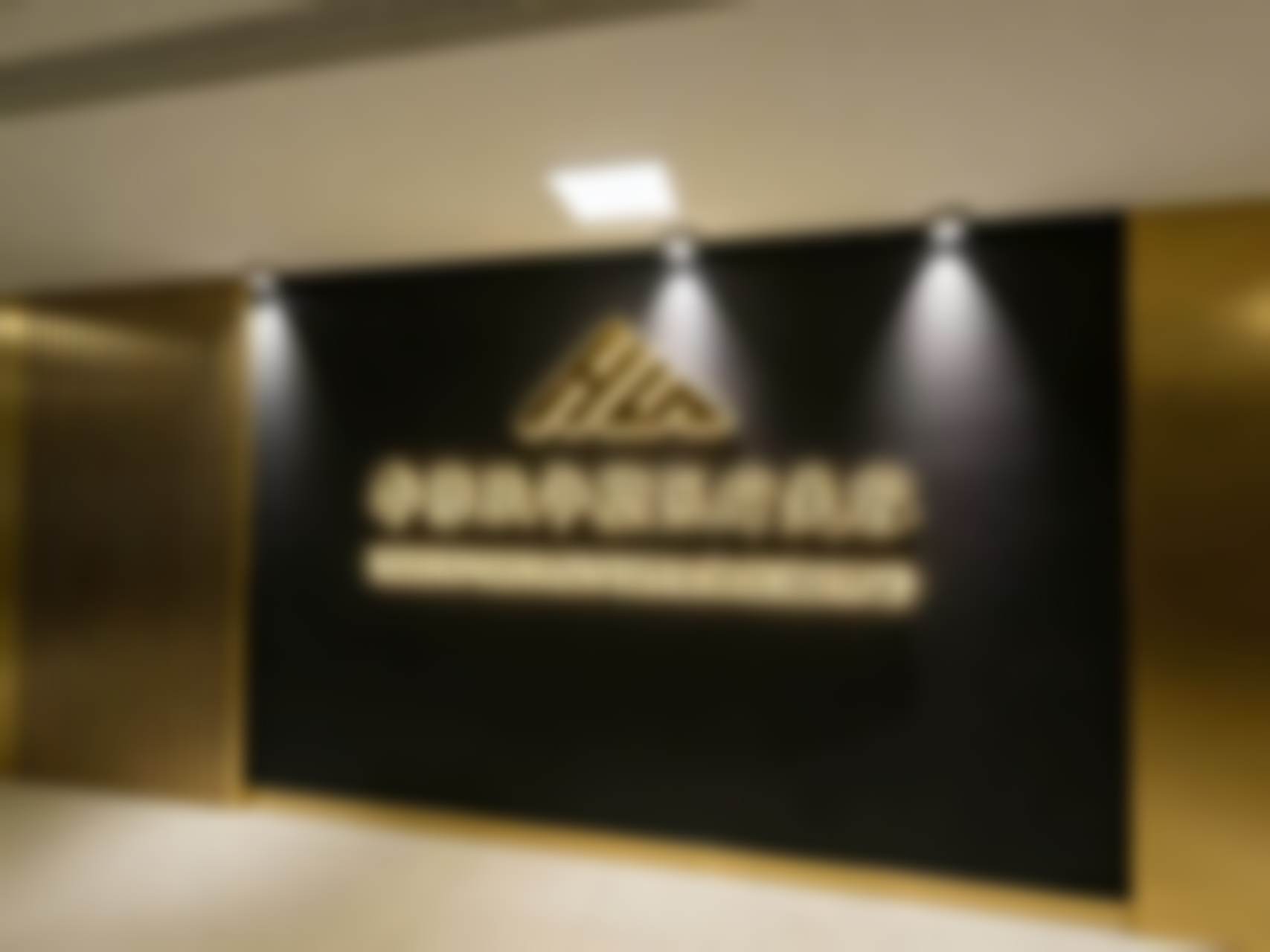 四川省李晓东靠谱吗——技术风格特色彰显独特魅力