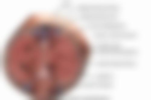 做了阴道紧缩术两个月能同床吗：可以但需谨慎，更好等3个月