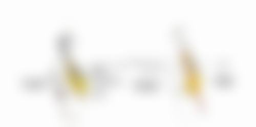 做了阴道紧缩术三个月能同床吗：理想时间，但需医生确认