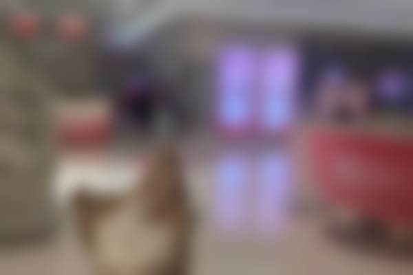 宜昌蕾蒂整形医院医生简介