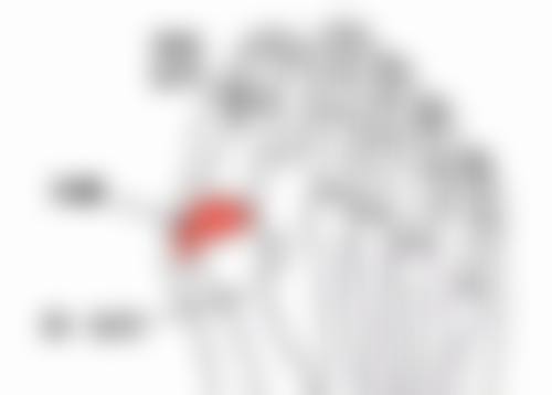 怎样去除眼袋和鱼尾纹：终极防衰指南——预防胜于治疗