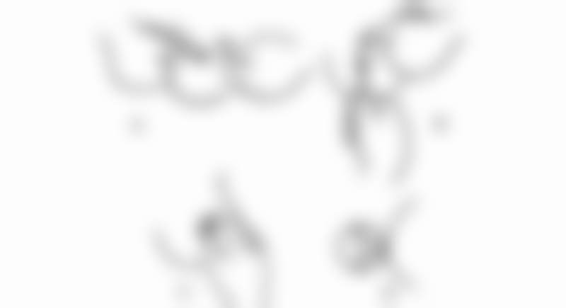 广州高尚医学美容中 心黄金龙怎么联系——广州海峡医疗美容门诊