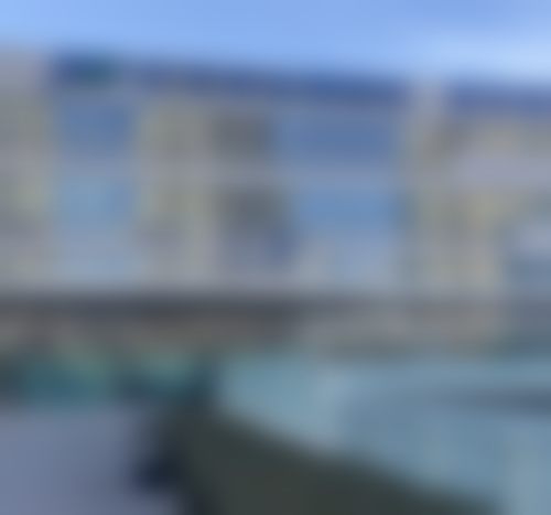 苏虹医生简介怎么挂号