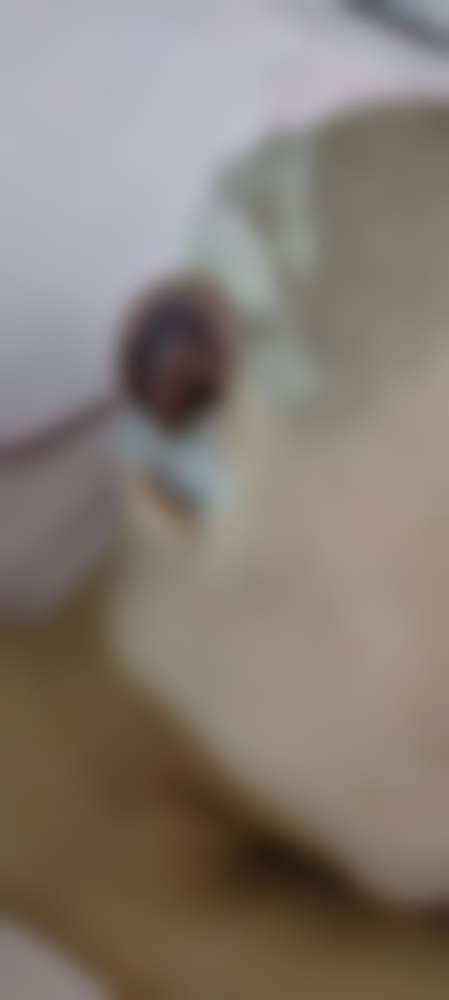 上海茸城女子医院整形美容中 心口碑评价怎么样