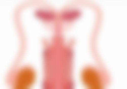 埋线双眼皮能管多少年之影响“寿命”的五大关键因素