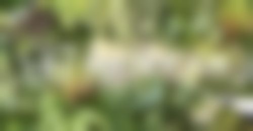 湖州恒颜美医疗美容门诊部李影属于骨干医生还是普通医生——湖州市第一人民医院