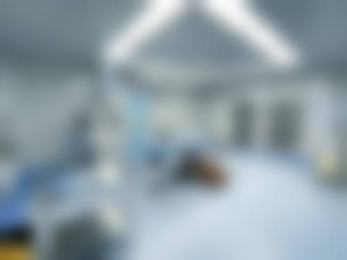 上海东方丽人耳朵缺损修复项目优势体现