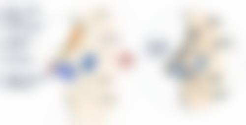 医生资质与选择要点