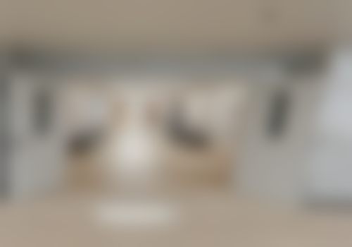 中南大学湘雅三医院整形科怎么样——项目特色