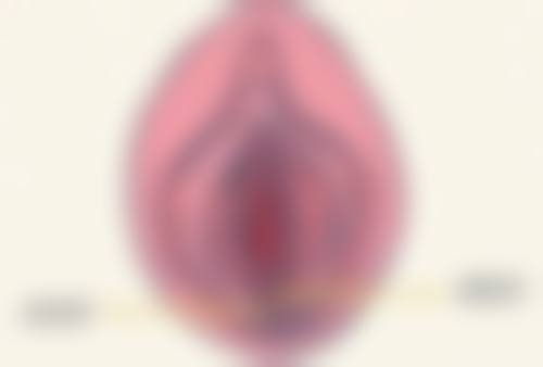 艾诺疤痕修复技术正规性探究——科学精良有验证