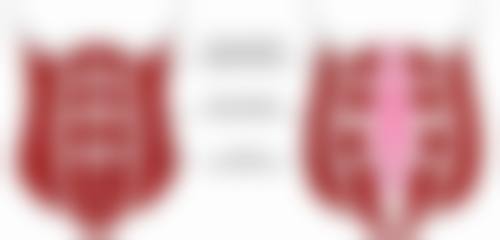 艾诺疤痕修复是正规的吗？专业机构+权威资质，祛疤效果真实可靠！