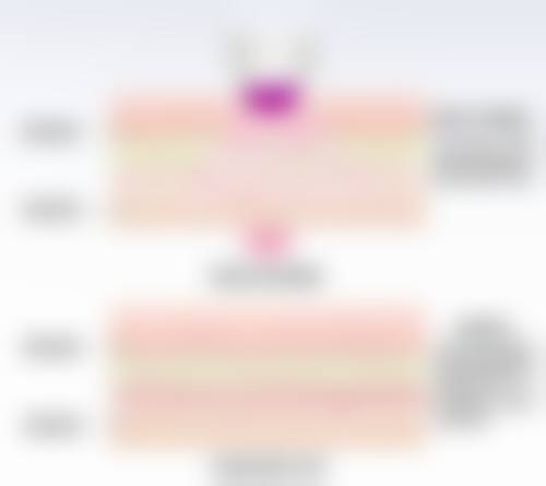 桐庐韩加医疗美容门诊部顾客实例