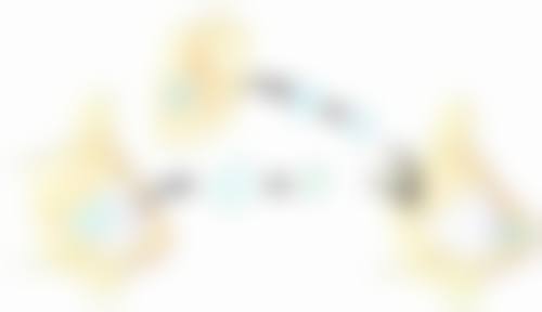 明智之选，美丽投资