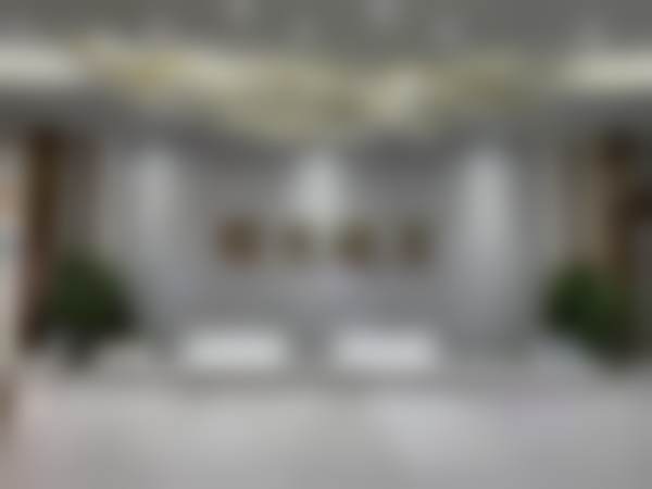 郑州曙光植发宋爱聪排名第几位——郑州壹加壹医疗美容