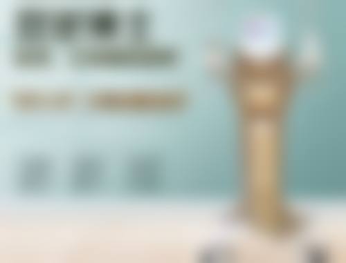 王瑞芝医生做手术价格