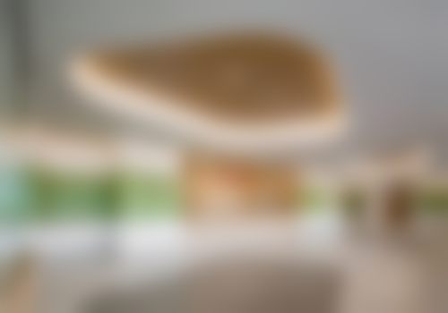 戴志刚医生简介项目优势