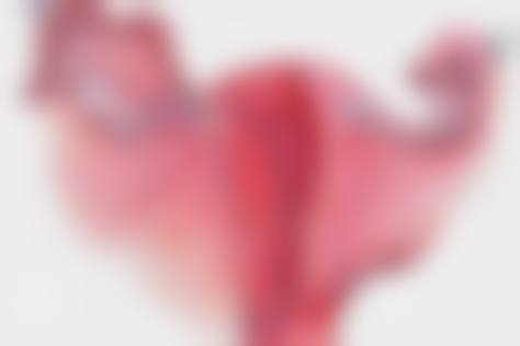 S女性医院李惠妍缩阴手术——便捷预约开启美丽之旅